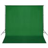 vidaXL Backdrop Support System 600x300 cm Green