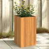 Product Thumbnail Image 2 of 9