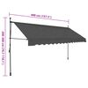 vidaXL Manual Retractable Awning with LED 400 cm Anthracite