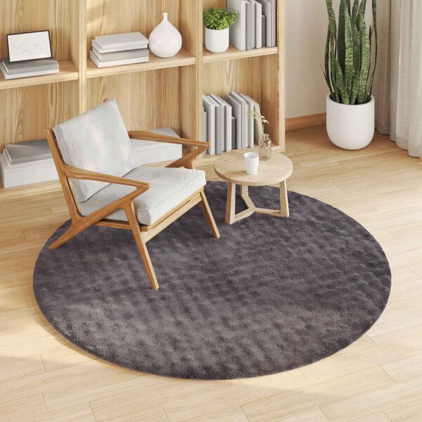vidaXL Area Rugs Round Anthracite &Oslash; 200 CM Polyester