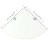 vidaXL Corner Shelves 2 pcs with Chrome Supports Glass Clear 25x25 cm