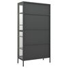 vidaXL Display Cabinet Anthracite 90x40x180 cm Steel and Tempered Glass