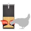 vidaXL Chicken Feeder 2 pcs Black 32.5 x 20.5 x 43 cm