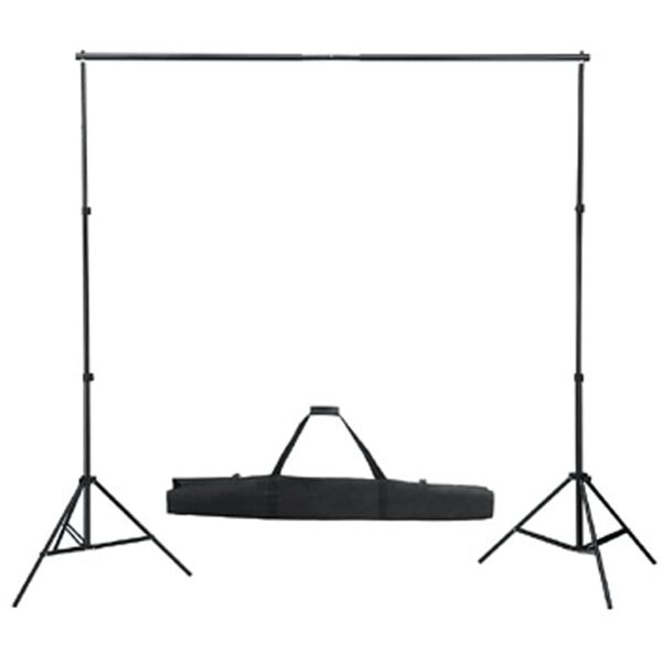 vidaXL Backdrop Support System 300 x 300 cm Black