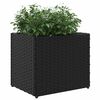 Product Thumbnail Image 4 of 12
