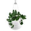 LECHUZA Hanging Planter BOLA Color 23 ALL-IN-ONE White