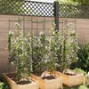 vidaXL Tomato Cages 6 pcs 154 cm Steel and PP
