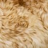 Product Thumbnail Image 4 of 4