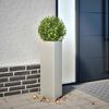 Product Thumbnail Image 2 of 13