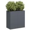 vidaXL Planter Anthracite 80x40x80 cm Cold-rolled Steel