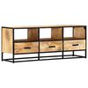 vidaXL TV Cabinet 120x30x45 cm Solid Mango Wood