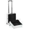 vidaXL Make-up Trolley 35x29x45 cm Silver Aluminium