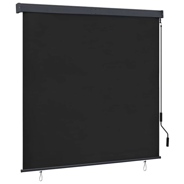 vidaXL Outdoor Roller Blind 160x250 cm Anthracite