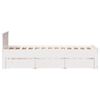 Product Thumbnail Image 5 of 13