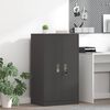 vidaXL Storage Cabinet Black 60 x 40 x 105 cm Cold-Rolled Steel