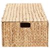 vidaXL Storage Box Brown 60 x 38 x 20 cm Water hyacinth