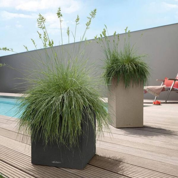 LECHUZA Planter CANTO Stone 30 Low ALL-IN-ONE Graphite Black