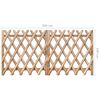 vidaXL Garden Gates 2 pcs Impregnated Pinewood 300x100 cm