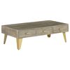 vidaXL Coffee Table Solid Mango Wood Grey with Brass 110x60x35 cm