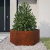 Product Thumbnail Image 2 of 11