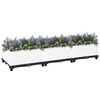 Product Thumbnail Image 2 of 9