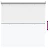 Product Thumbnail Image 8 of 15
