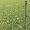 vidaXL Euro Fence Silver 0.8 x 10 m Hot dip galvanized iron