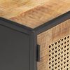 vidaXL TV Cabinet 120x30x40 cm Rough Mango Wood and Natural Cane