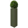 Product Thumbnail Image 4 of 12