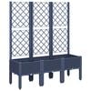 Blue_grey