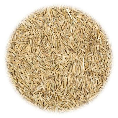 vidaXL Grass Seed for Dry and Heat 30 kg