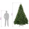 Product Thumbnail Image 8 of 8