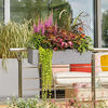 Product Thumbnail Image 4 of 6