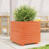 vidaXL Garden Planter Wax Brown 50x50x49.5 cm Solid Wood Pine
