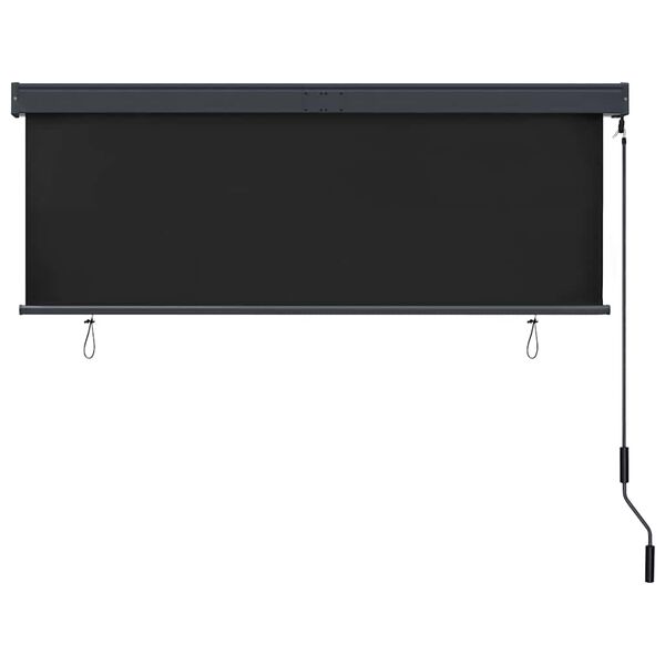 vidaXL Outdoor Roller Blind 160x250 cm Anthracite