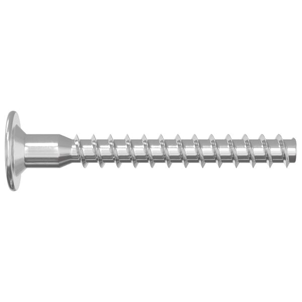 vidaXL Confirmat Screws 2 pcs Silver Metal