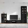 vidaXL TV Cabinet Set with Drawer with Shelf Black Engineered Wood