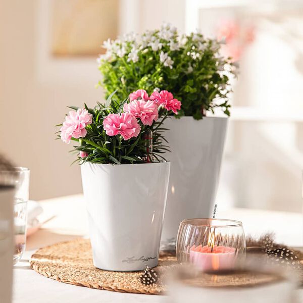 LECHUZA Planter MINI DELTINI ALL-IN-ONE White