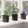 vidaXL Flower Pot 200 pcs Black &Oslash; 15 x 13 cm Plastic