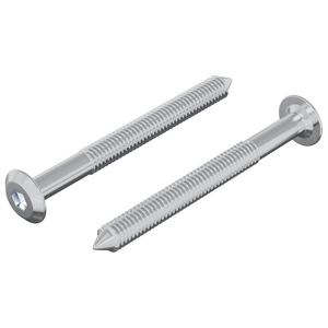 vidaXL Screw 2 pcs Silver M6 x 60 mm Steel