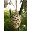 dobar 8-Piece Hanging Bird Seed Pine Cones