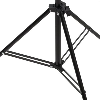 vidaXL T-Shape Background Stand Black 151x60x(70-200) cm