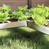 Product Thumbnail Image 3 of 12