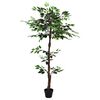 Product Thumbnail Image 3 of 6