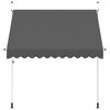 vidaXL Manual Retractable Awning 250 cm Anthracite