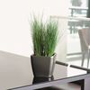 LECHUZA Planter QUADRO LS 35 ALL-IN-ONE Charcoal 16163