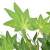 Product Thumbnail Image 2 of 2