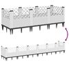 Product Thumbnail Image 6 of 8