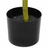 Product Thumbnail Image 3 of 5
