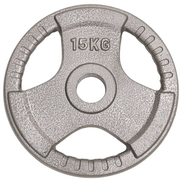 vidaXL Olympic Weight Plates 2 pcs 30 kg Cast Iron